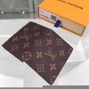 Louis Vuitton LV Enveloppe Carte De Visite M63801