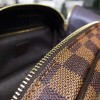 Louis Vuitton King Size Toiletry Bag N47527