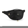 Louis Vuitton Monogram Empreinte Bumbag M44812
