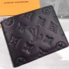 Louis Vuitton Multiple Wallet M62901