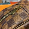 Louis Vuitton LV Toiletry Bag 25 N47624