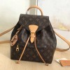 Louis Vuitton Montsouris PM LV M45501