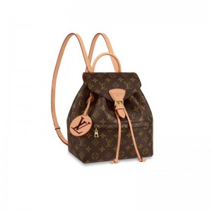 Louis Vuitton Montsouris PM LV M45501