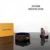 Louis Vuitton LV Bandouliere J02288