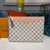 Louis Vuitton Daily Pouch N60260