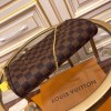 Louis Vuitton LV Favorite MM N41129