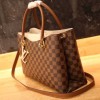 Louis Vuitton LV Riverside Tote N40135