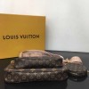 Louis Vuitton Multi Pochette Accessoires LV M44840