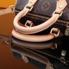 Louis Vuitton LV Nano Speedy M61252