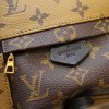Louis Vuitton Palm Springs Mini Backpack M44872