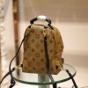 Louis Vuitton Palm Springs Mini Backpack M44872