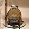 Louis Vuitton Palm Springs Mini Backpack M44872
