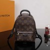 Louis Vuitton Palm Springs Mini Backpack M44873