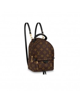 Louis Vuitton Palm Springs Mini Backpack M44873