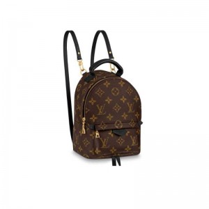 Louis Vuitton Palm Springs Mini Backpack M44873