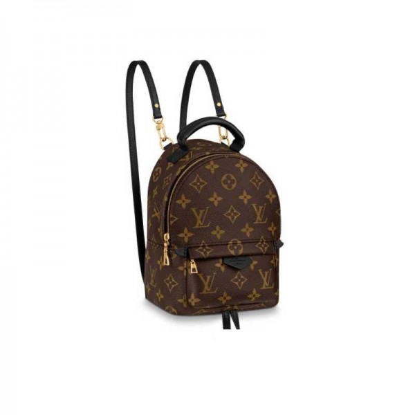 Louis Vuitton Palm Springs Mini Backpack M44873