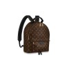 Louis Vuitton Palm Springs MM Backpack M44874