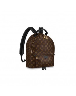 Louis Vuitton Palm Springs MM Backpack M44874