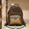 Louis Vuitton Palm Springs PM Backpack M44870