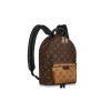 Louis Vuitton Palm Springs PM Backpack M44870