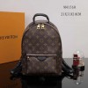 Louis Vuitton LV Palm Springs PM Backpack M44871