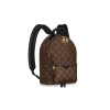 Louis Vuitton LV Palm Springs PM Backpack M44871