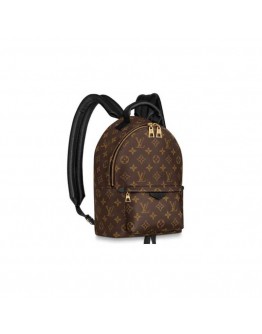 Louis Vuitton LV Palm Springs PM Backpack M44871