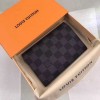 Louis Vuitton LV Passport Cover N64411
