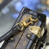Louis Vuitton LV Petite Malle M53201