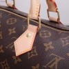 Louis Vuitton LV Speedy 30 M41108