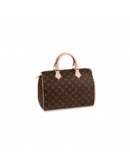 Louis Vuitton LV Speedy 30 M41108