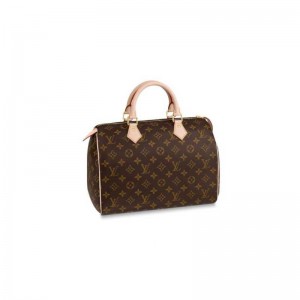 Louis Vuitton LV Speedy 30 M41108
