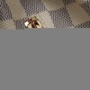 Louis Vuitton LV Sperone N44026