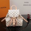 Louis Vuitton LV Sperone N44026