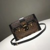 Louis Vuitton Trunk Clutch M43596