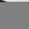 Louis Vuitton Trunk Clutch M43596
