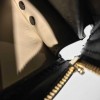 Louis Vuitton Trunk Clutch M43596