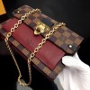 Louis Vuitton Vavin Chain Wallet N60222